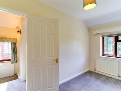 Picture 31